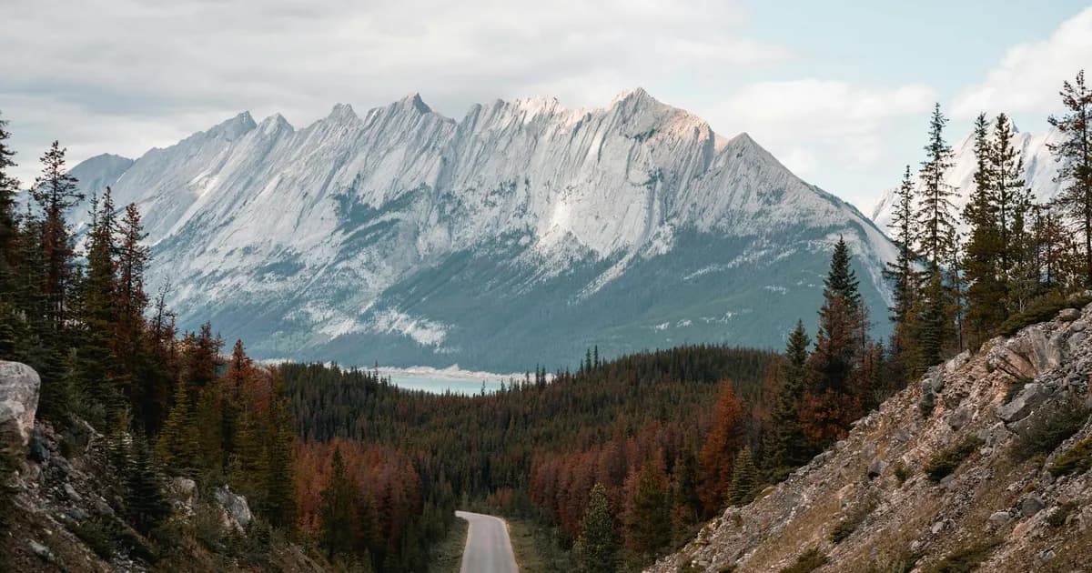 Jasper Killed Banff Plans I m Not Sorry travel landscape