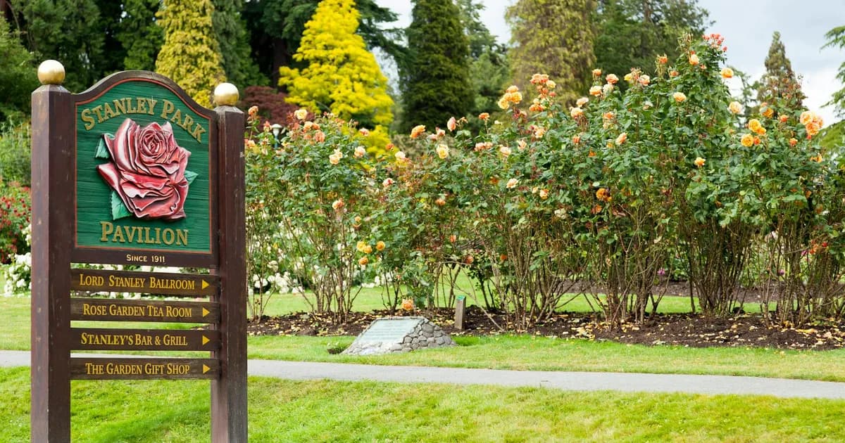 Stanley Park Overhyped But You Should Still Go travel landscape